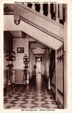 Rue Notre Dame